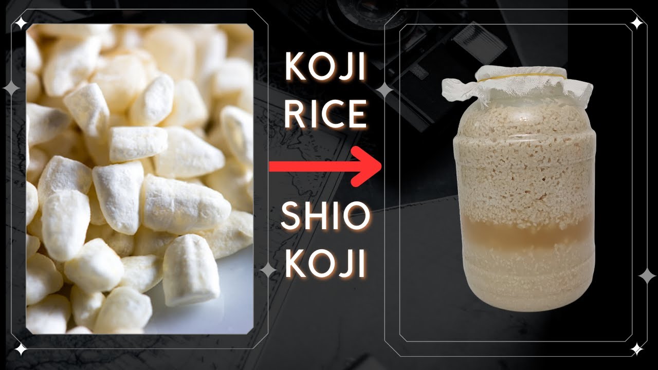 Koji rice and shio koji - the amazing japanese seasoning which will elevate your cooking