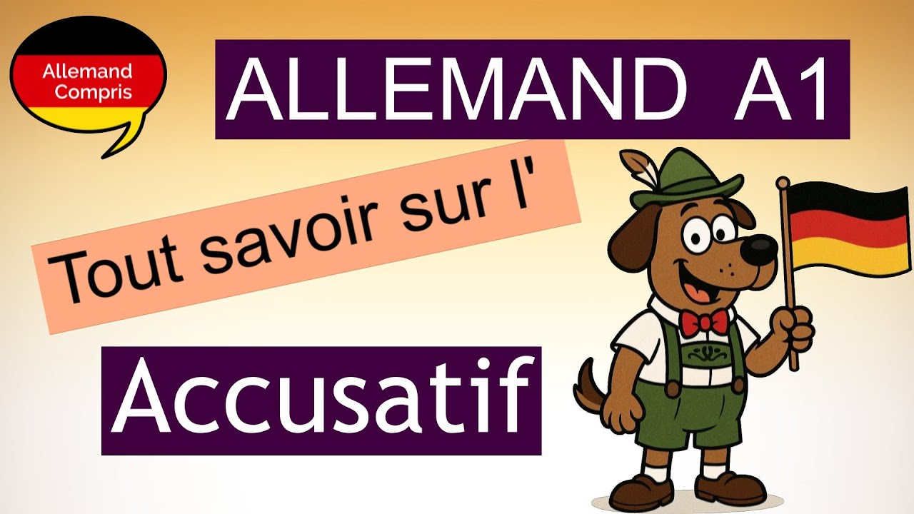 🇩🇪 Comprendre l’Accusatif en Allemand une bonne fois pour toutes! | Der deutsche Akkusativ
