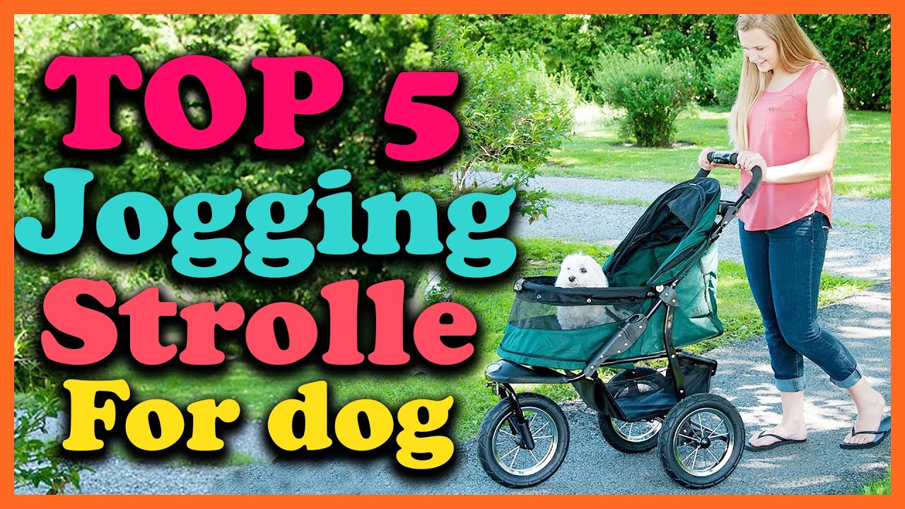 ✅Top 5 Best Dog Jogging Stroller 2025