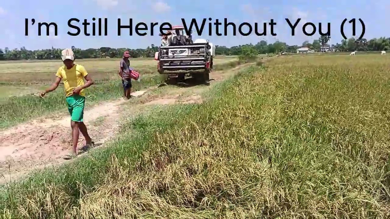 I M still here without you(,,,music song sad)