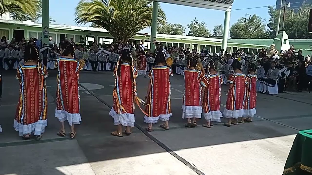 flor de piña escuela primaria libertadores de américa de santa cruz Atizapán