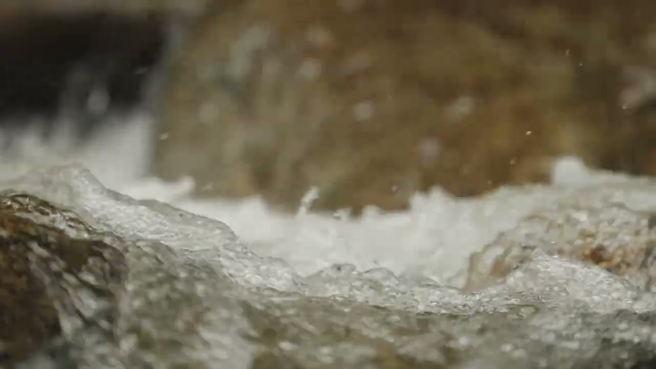 Relaxing Stream in Nature | Chill, Meditation, Water ASMR