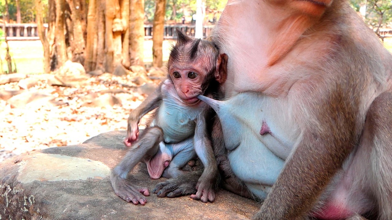 Sweet and happy times