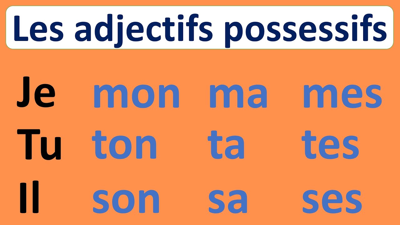 Les adjectifs possessifs en fran&ccedil;ais