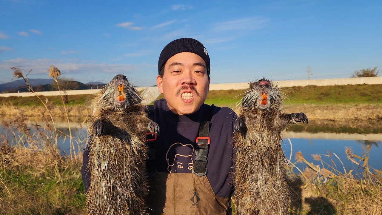 뉴트리아를 족대로 잡아서 닭볶음탕으로 먹어보자!