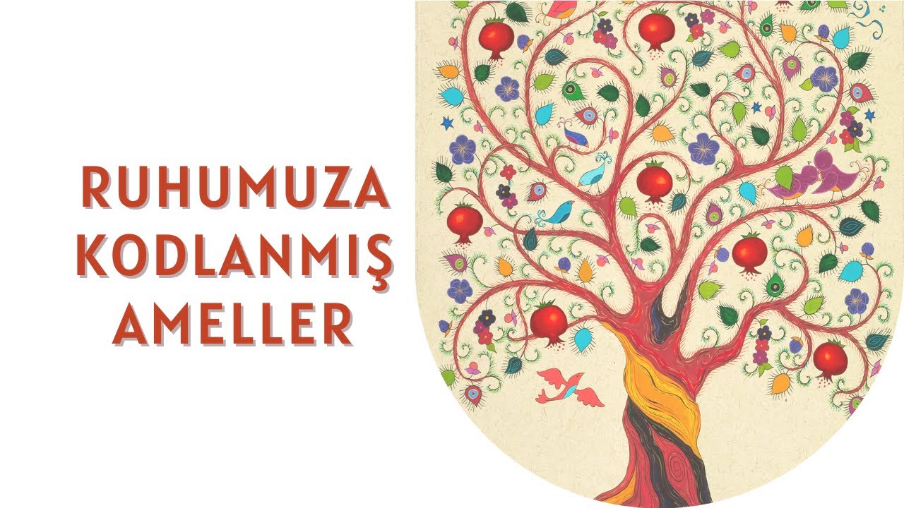 RUHUMUZA KODLANMIŞ AMELLER