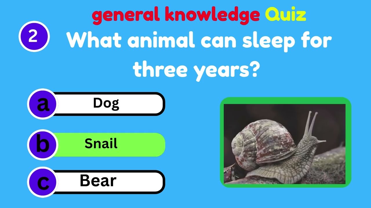 “How Much Do You Really Know? Ultimate General Knowledge Quiz!”