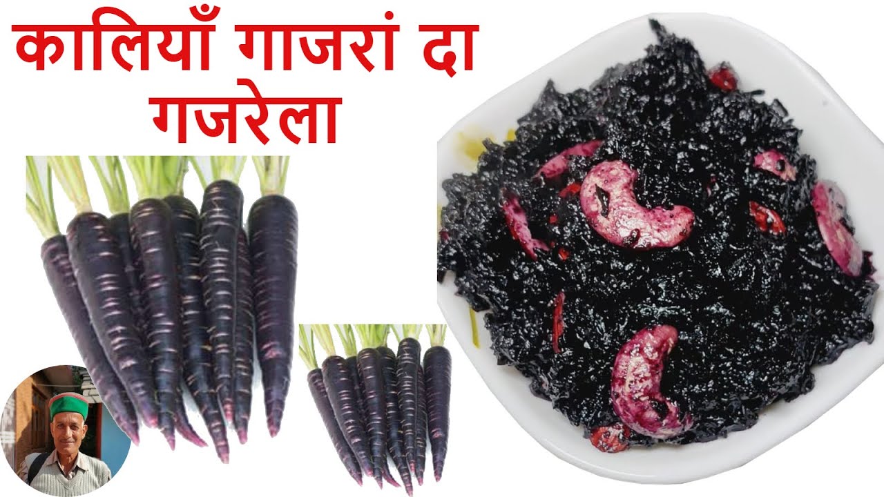 कालियाँ गाजरां दा गजरेला | काली गाजर का गजरेला | Kali Gajar ka Halwa | Black Carrot Halwa Recipe