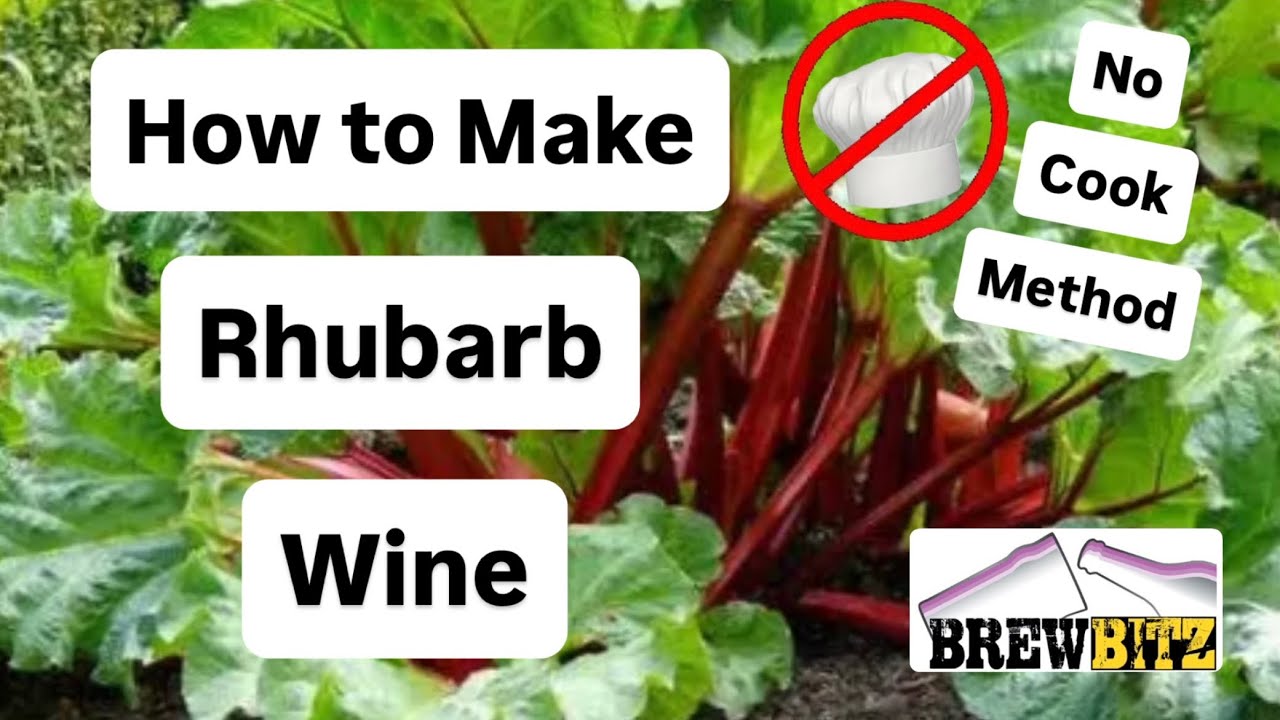 How to Brew Rhubarb Wine - Method 1 - No Cook - by Brewbitz