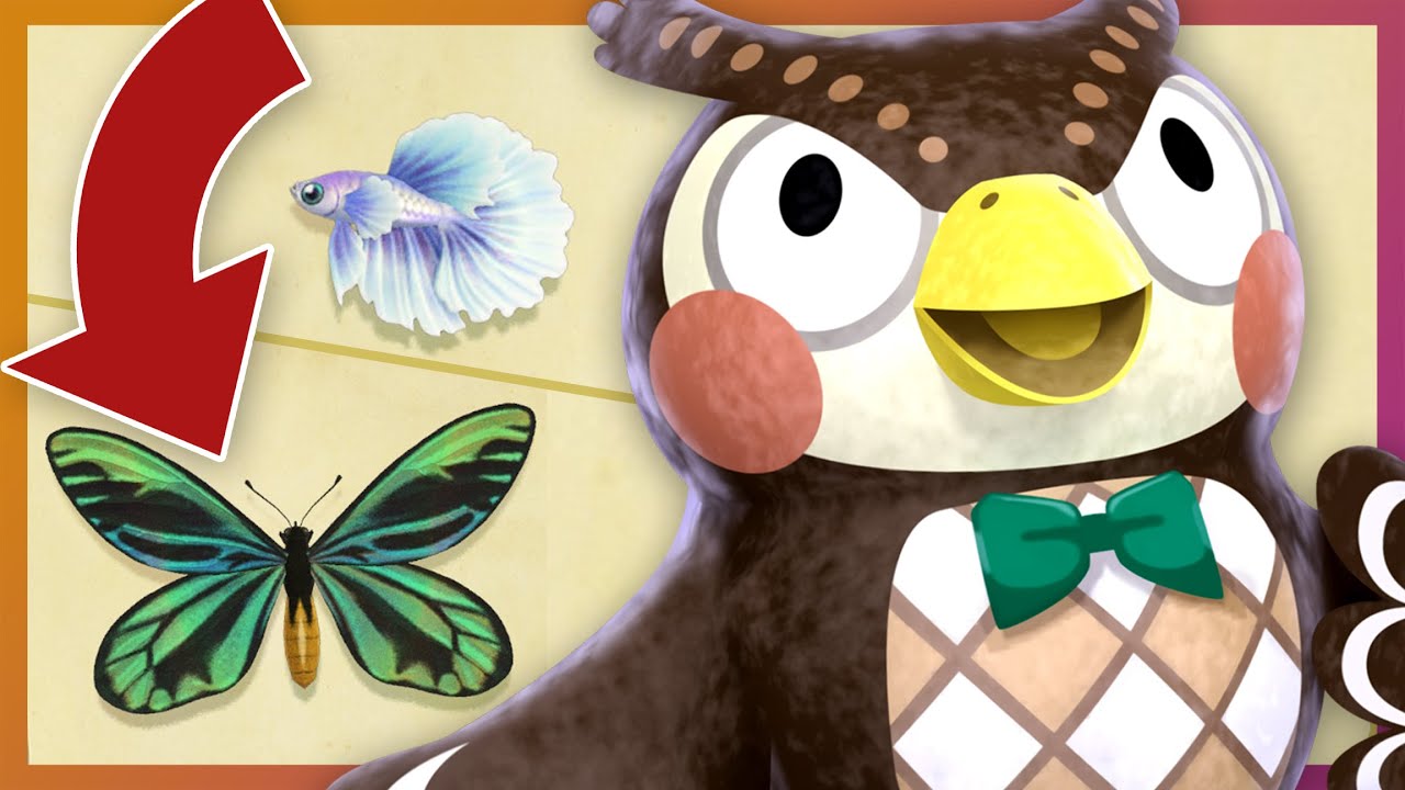 May Fish & Bug Guide | Animal Crossing New Horizons