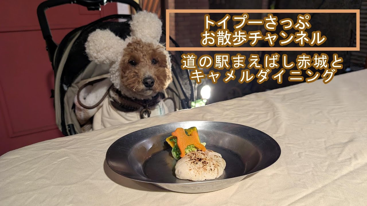 道の駅まえばし赤城イルミネーションと、伊勢崎市のキャメルダイニングでディナー
