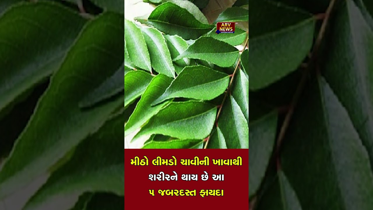 These 5 tremendous benefits of chewing sweet neem for the body