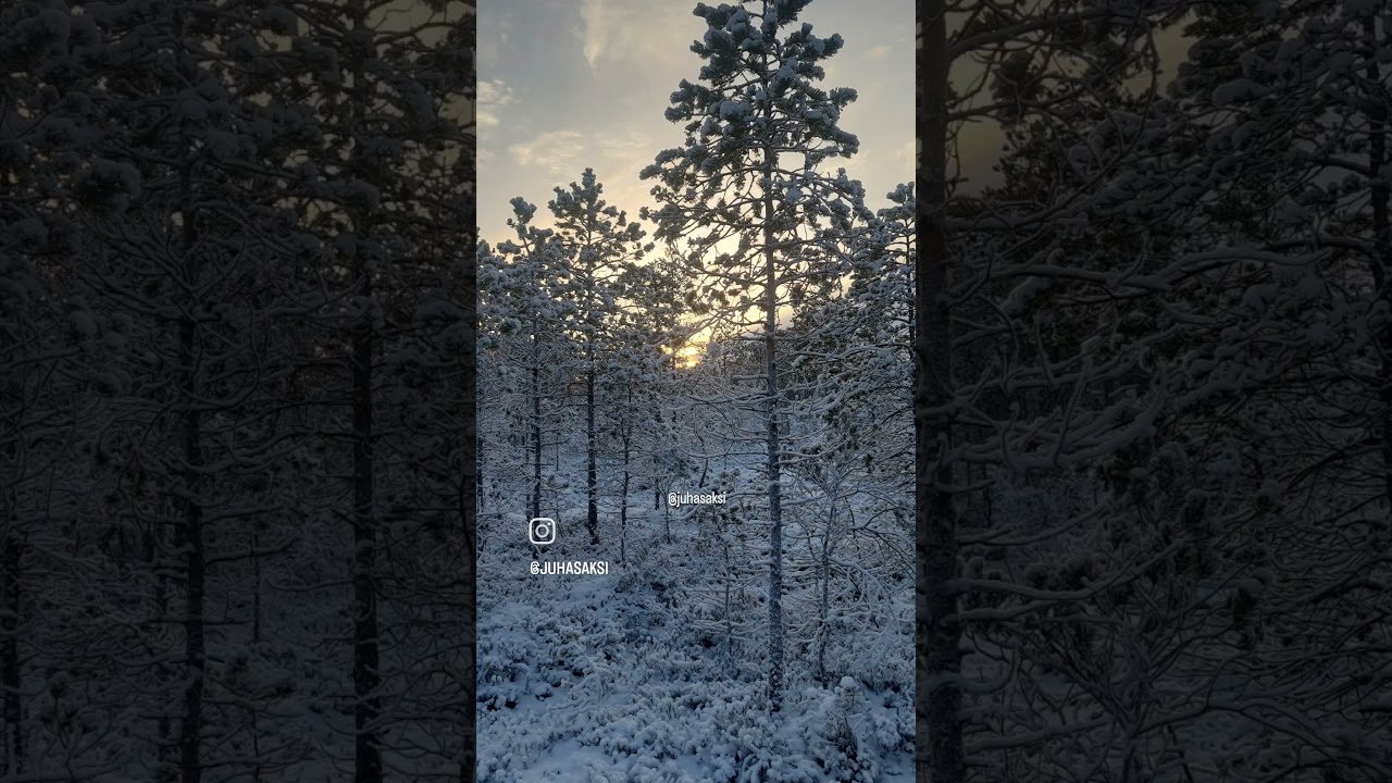 Paukaneva Nurmo Sein&auml;joki Finland Juha Saksi 10.01.2026 #paukaneva #seinajoki #luonto #luonnossa