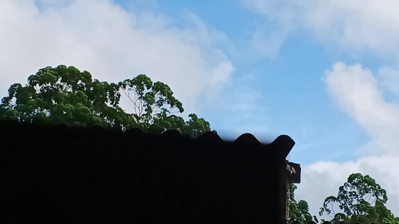1 de março de 2026