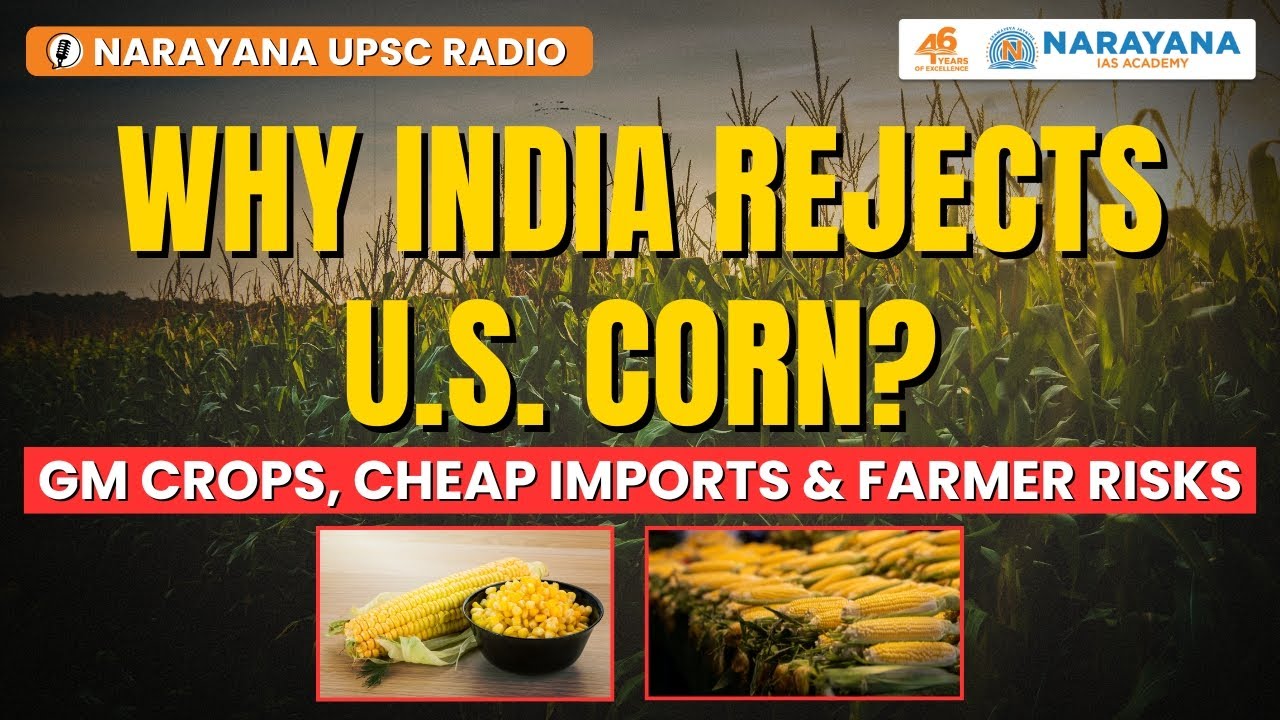 Why India Rejects U.S. Corn? | GM crops, cheap imports & farmer risks