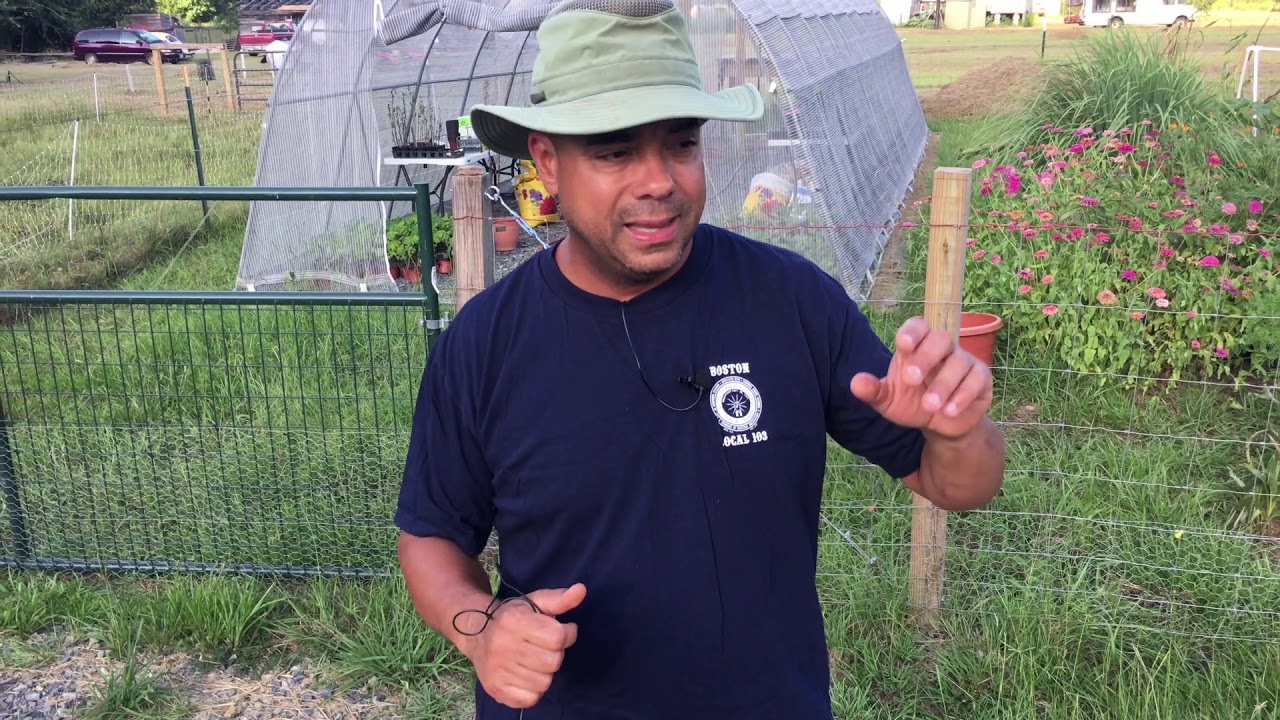 Perma-Pastures Farm Tour!