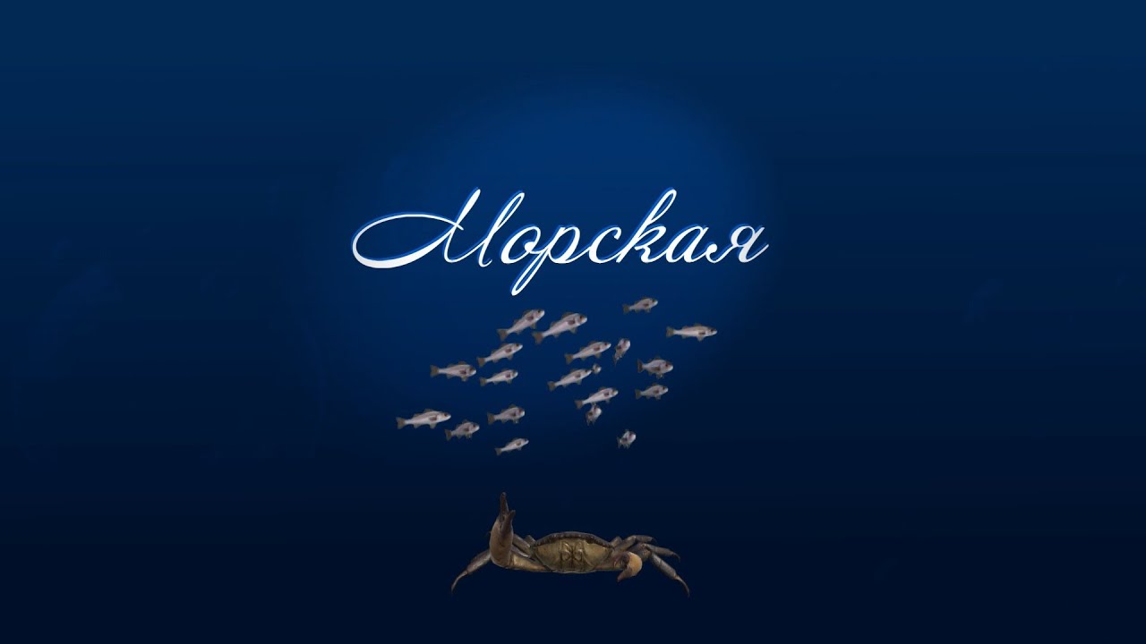 Морская. Вольный шкипер Фридольф Гек. Продолжение