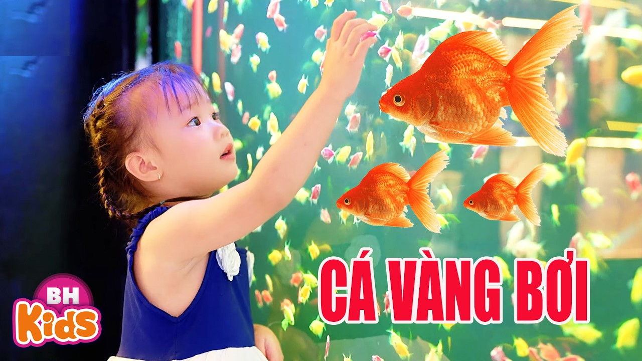 Nhạc Thiếu Nhi Cá Vàng Bơi - Bài Hát Thiếu Nhi Vui Nhộn Cho Bé Ăn Ngon