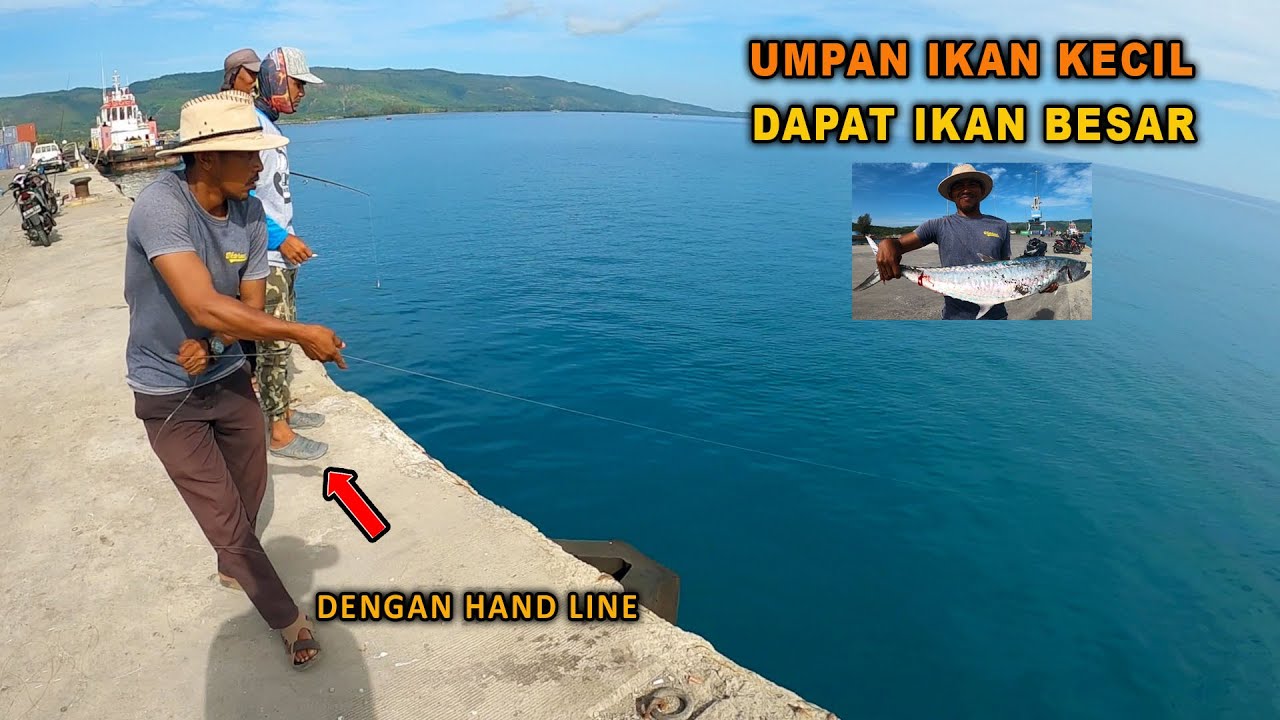 SUKSES !! Landed Ikan Besar Dengan Hand Line, Umpan Ikan Kecil Untuk Mancing Ikan Besar