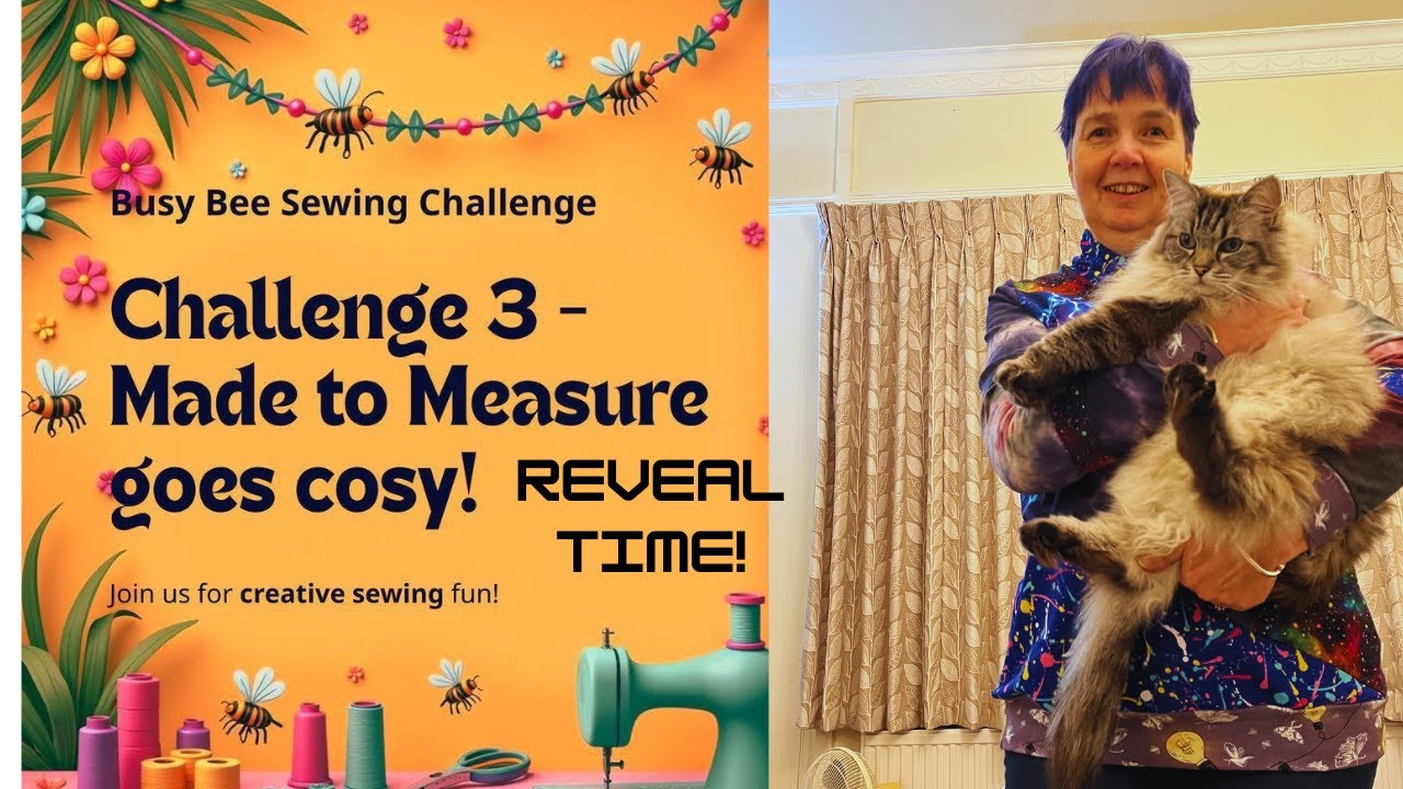 Turning my scraps into a sweatshirt - my Made to Measure reveal #BusyBeeChallenge25