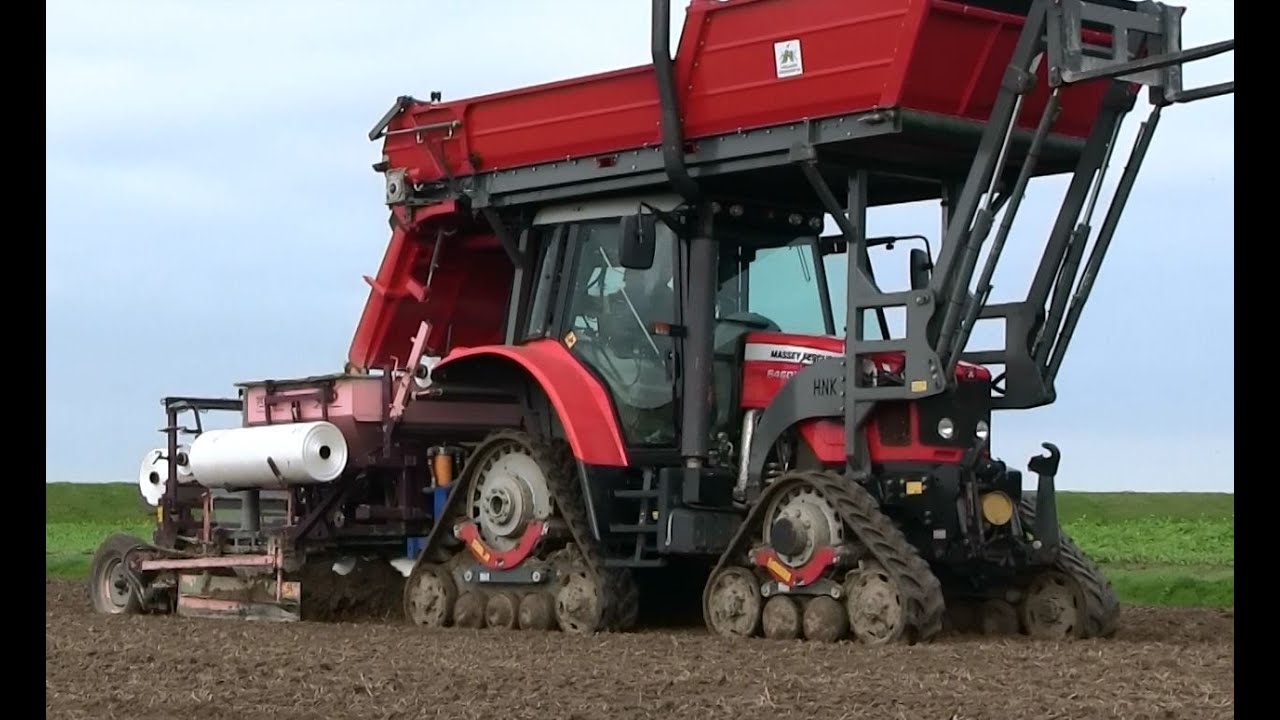 Tulpenbollen planten bij Akkerb. : Mts. Noordam Uithuizen.