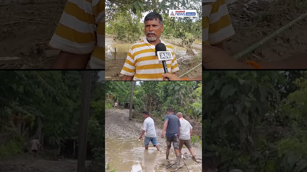 Assam Flood Crisis Worsens, Kamalchapori Village Under Water