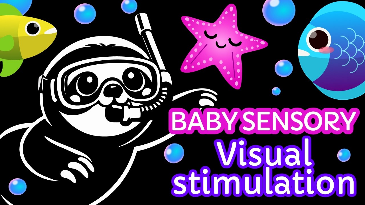 High Contrast Baby Sensory (0-12 Moths) | 1 Hour | Visual Stimulation