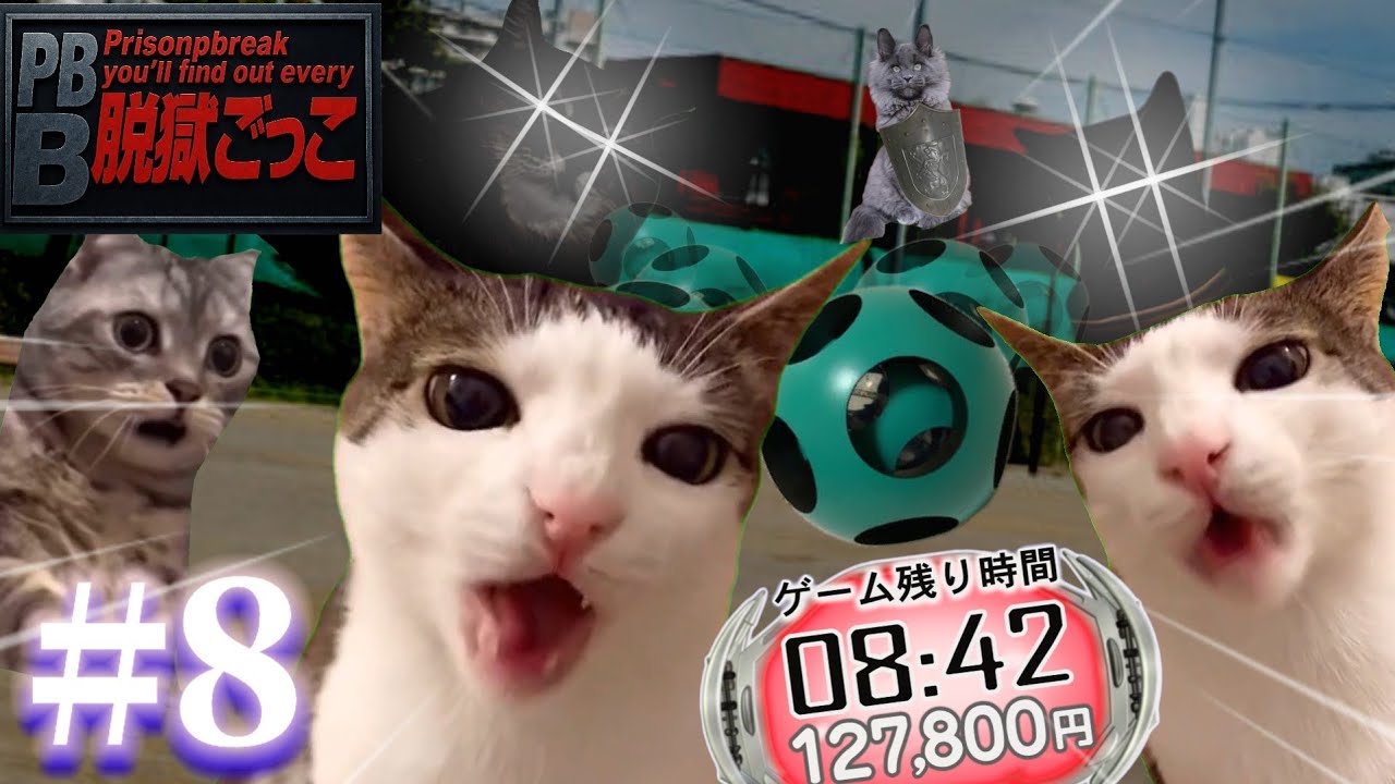 【猫ミーム】脱獄ごっこをすることになった猫たちの物語 第8話