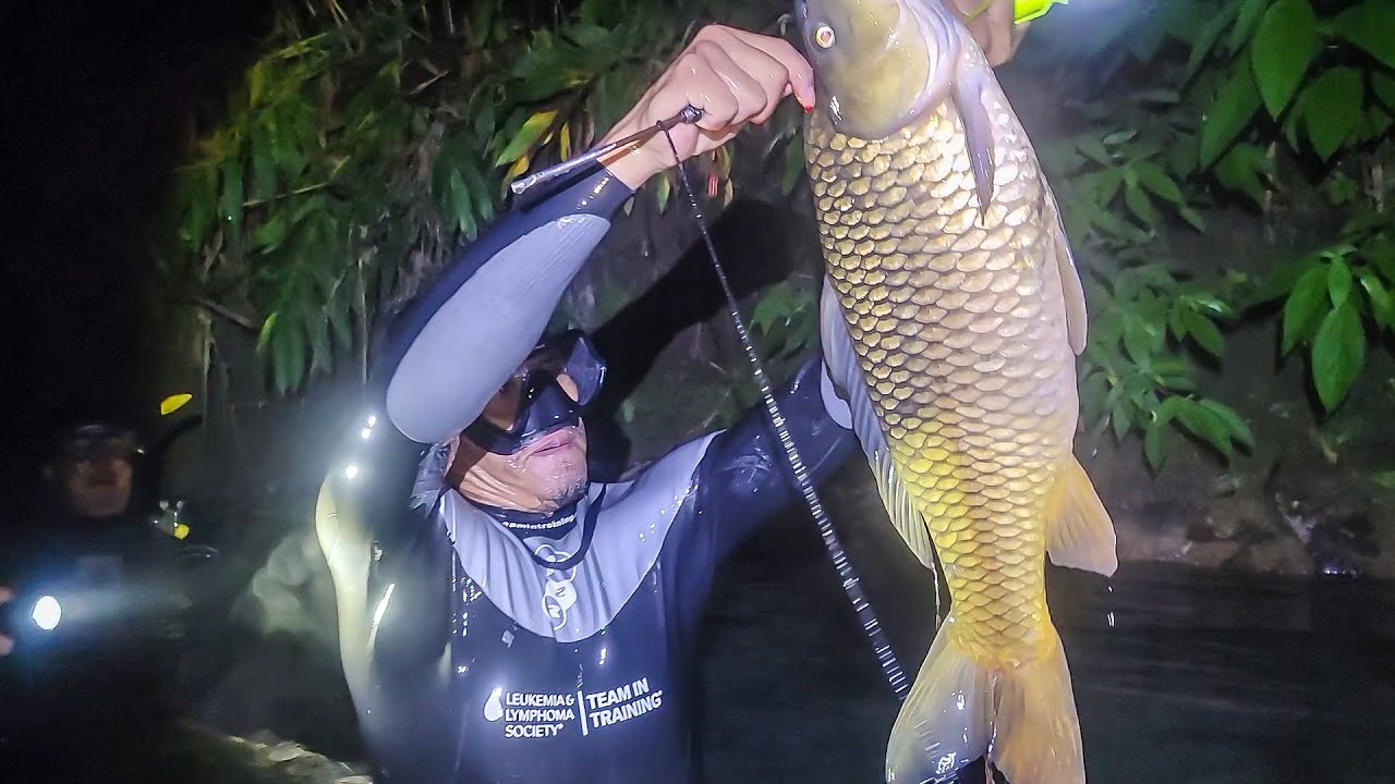 Pesca con arpón peces gigantes en agua muy fría, cocina tradicional