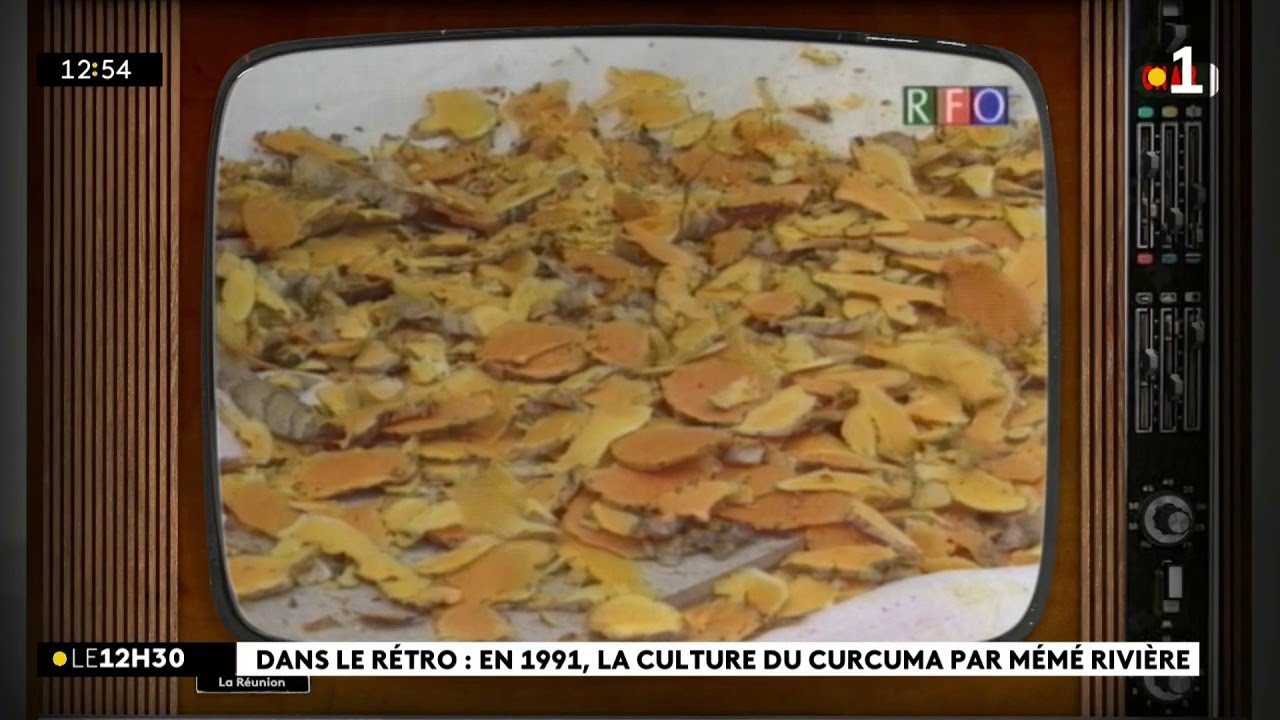 Dans le Rétro : la production du curcuma au début des années 90