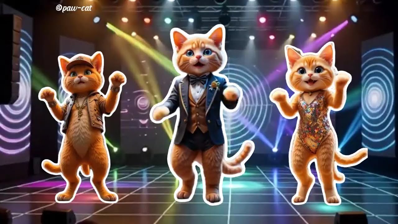 The Cat Dance Animation You Always Wanted