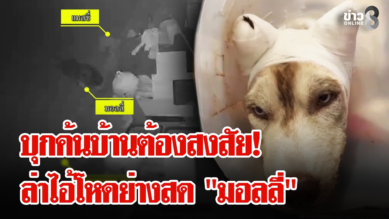 ตำรวจบุกค้นบ้านต้องสงสัย ส่อเอี่ยวย่างสด 