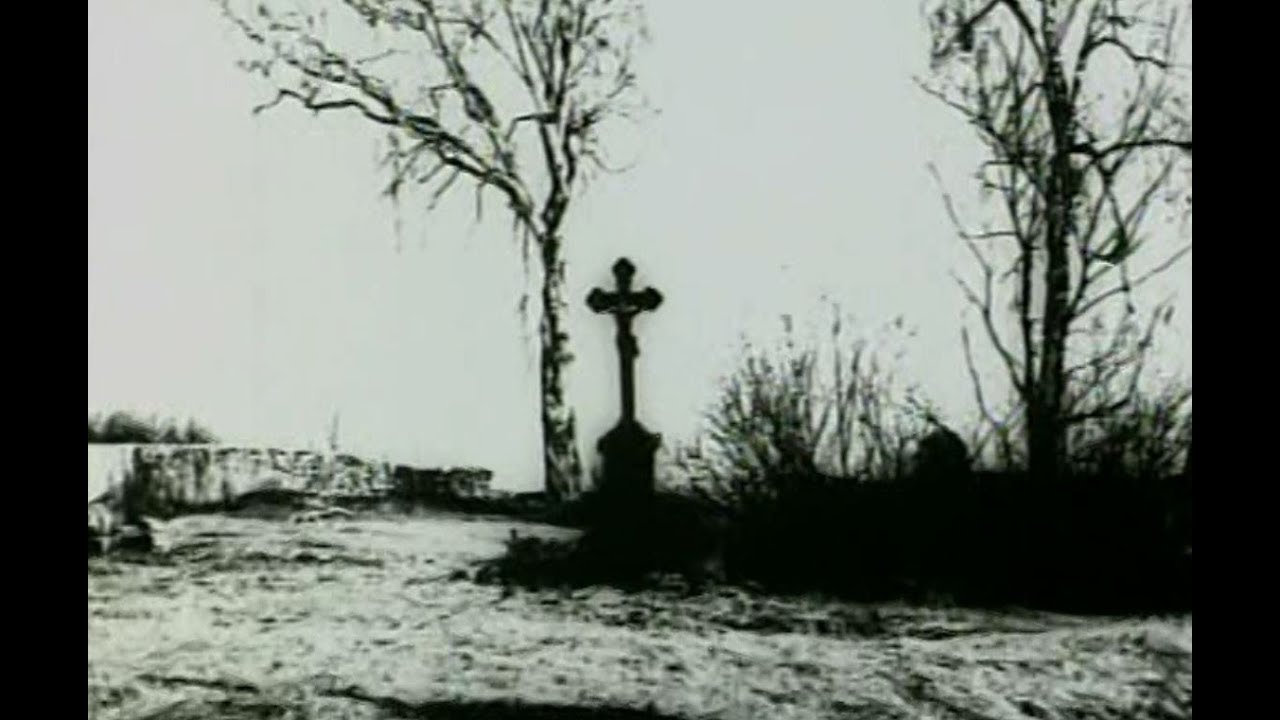 Bracia polscy 1980