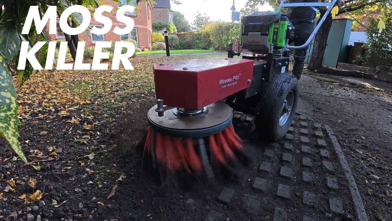 This Machine DESTROYS Moss Like Nothing Else! | Terrazza Weedee PRO