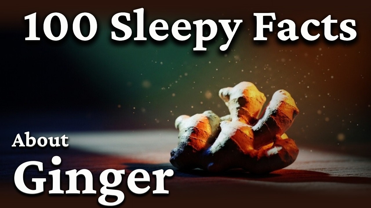 The Most Relaxing Science Facts About Meal to Fall Asleep - Sleepy Science
