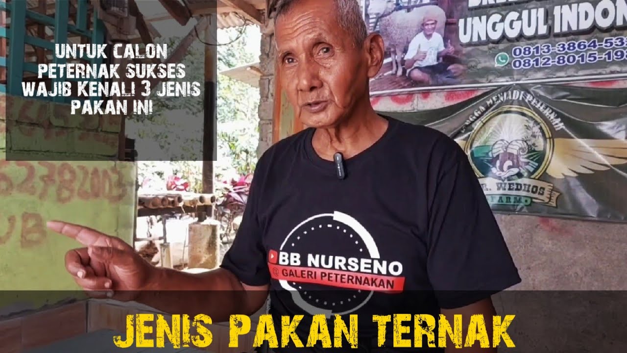 TIGA JENIS PAKAN TERNAK UNTUK CETAK TERNAK SUPER