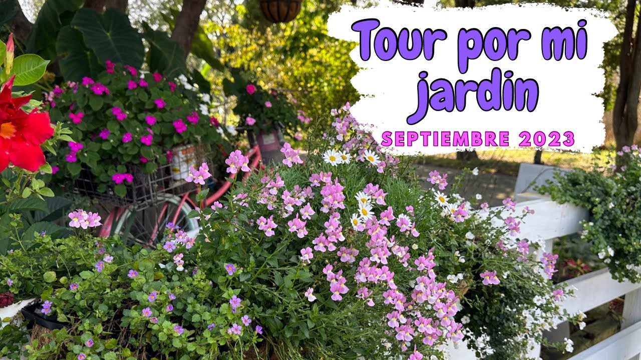 TOUR POR MI JARDÍN en SEPTIEMBRE