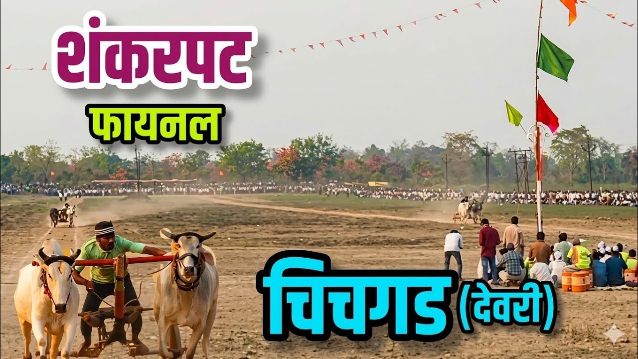 शंकरपट चिचगड (देवरी) #bailgadasharyat #chichgadh pat #youtube #bailgada 