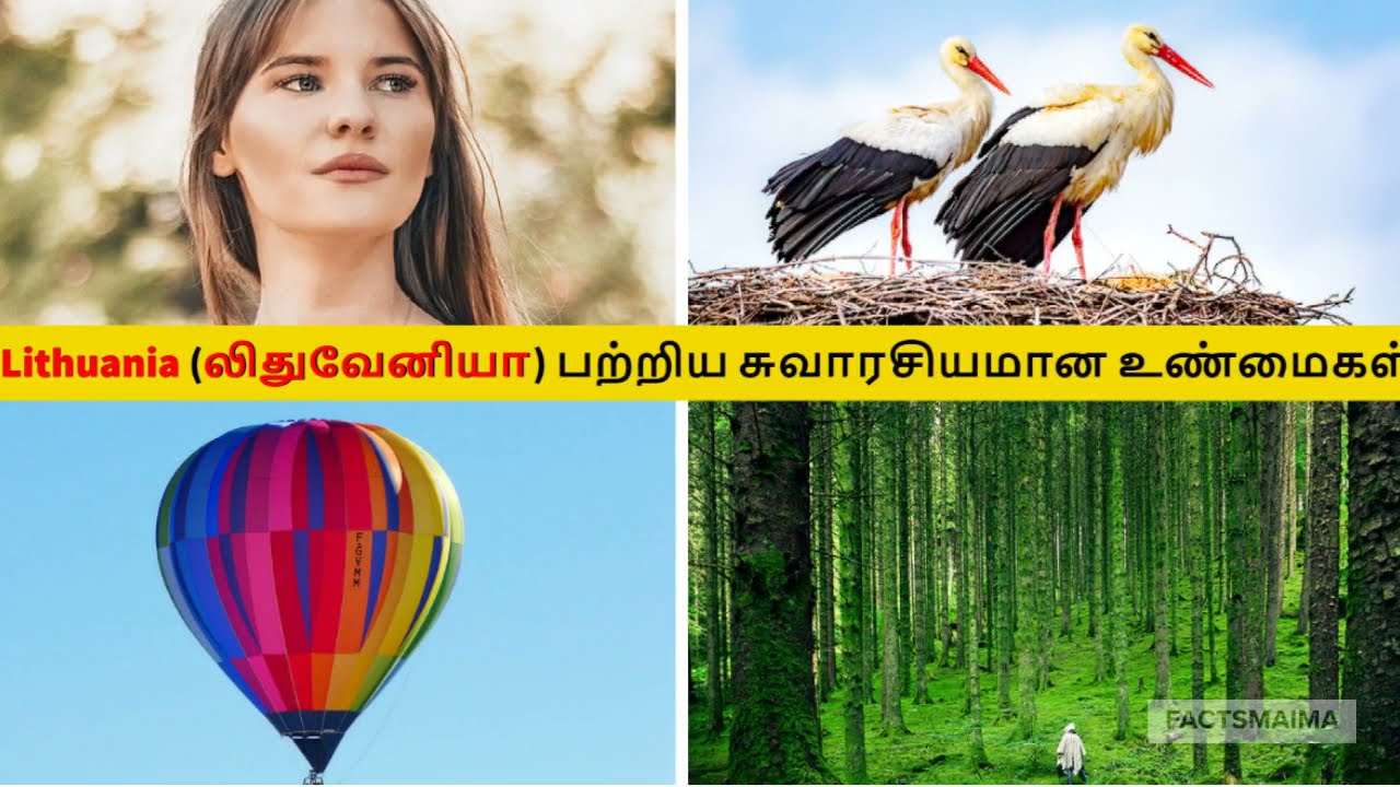 Interesting facts about Lithuania in Tamil _ லிதுவேனியா பற்றிய சுவாரசியமான உண்மைகள் தமிழில்