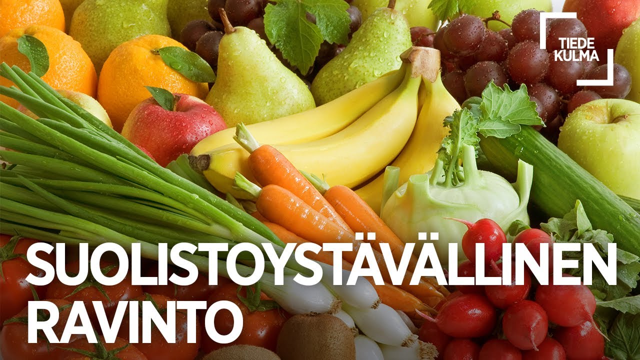 Millainen ruoka tukee suoliston hyvinvointia &ndash; kuitua lautaselle koivusta? | Emma Kynk&auml;&auml;nniemi
