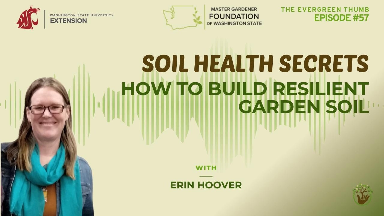 Soil Health Secrets: How to Build Resilient Garden Soil