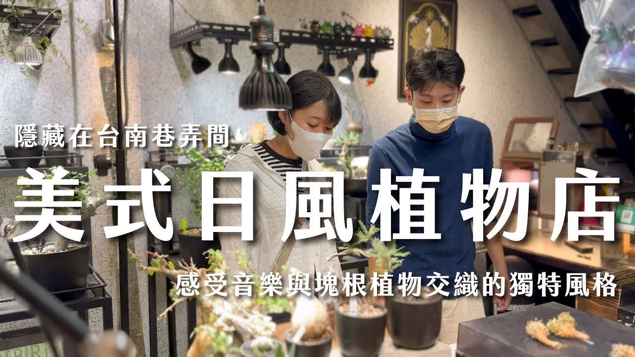 隱藏在台南小巷裡的塊根植物神店「椮南植物販売所」，DJ與潮男老闆們的植物基地｜象牙宮｜龍舌蘭｜葡萄甕｜惠比須笑｜陶盆｜植物潮玩