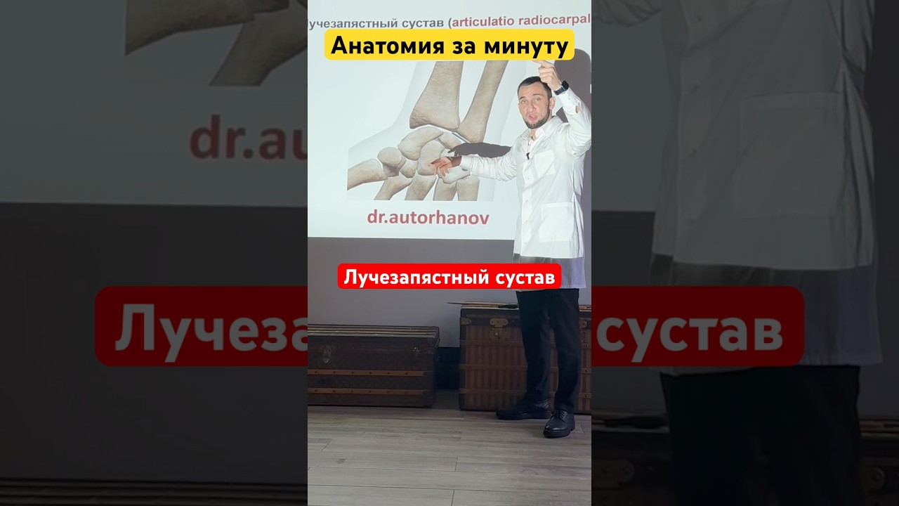 Лучезапястный сустав за минуту #анатомия #shorts #врач #медицина