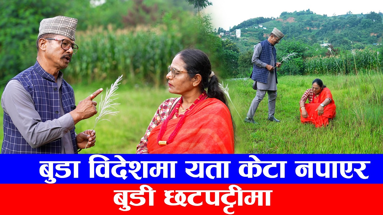 बुडो बिदेशमा हुदा, बुडी छट्पटाएर रोबर्ट चाहियो मान्छेले जस्तै काम गर्ने भनेपछि |  New Nepali Serial.