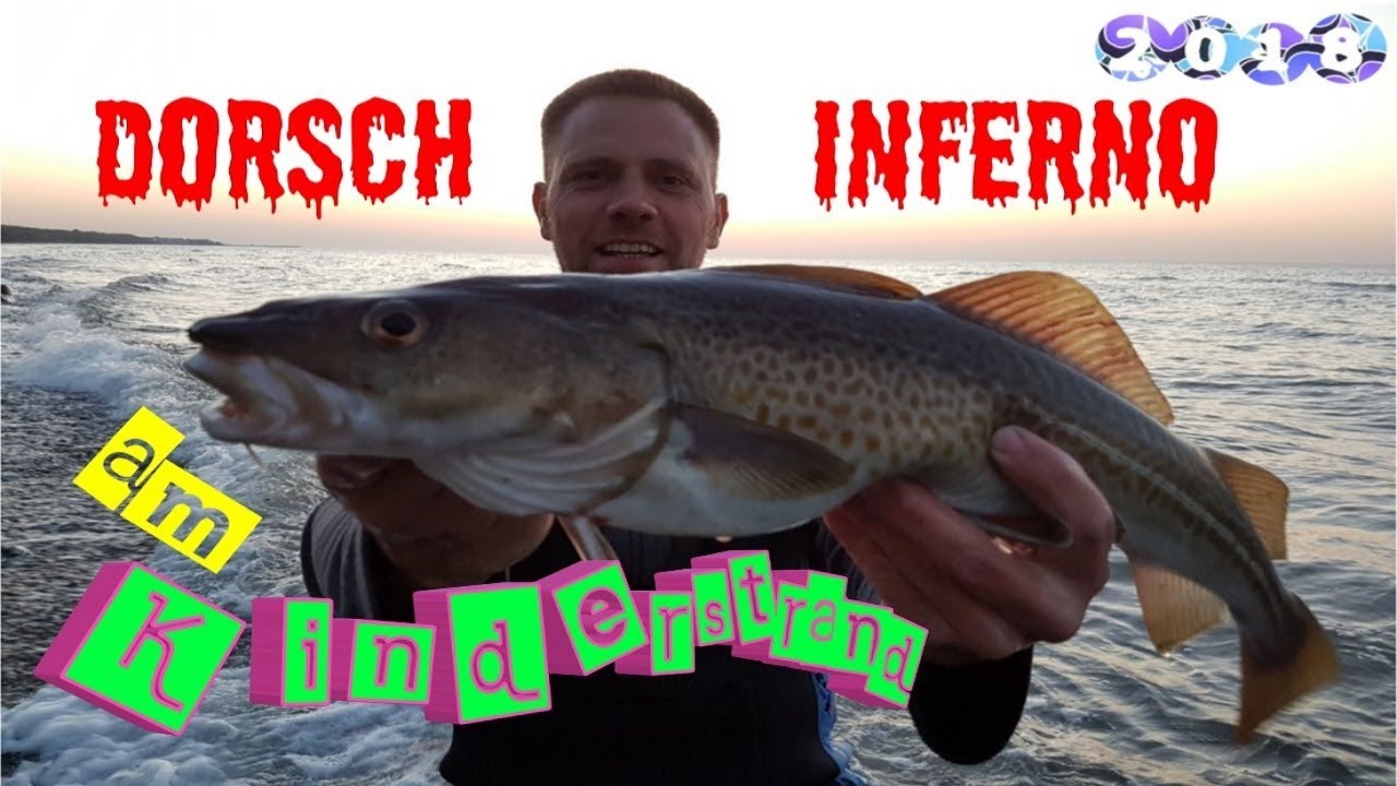 Dorsch Inferno am Kinderstrand
