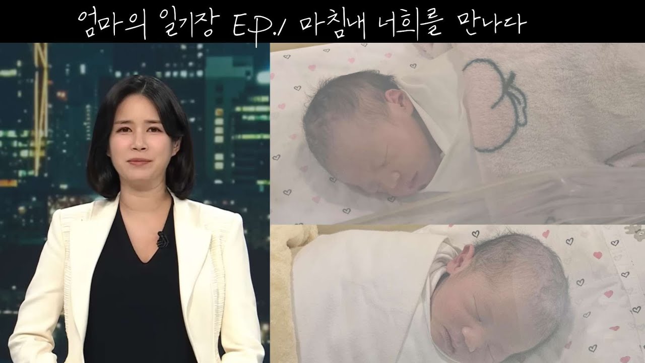 육아일기 Ep.1 마침내 너희를 만나다