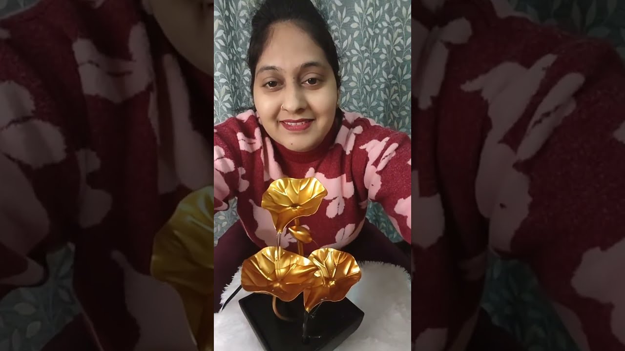 Meesho lahanga review