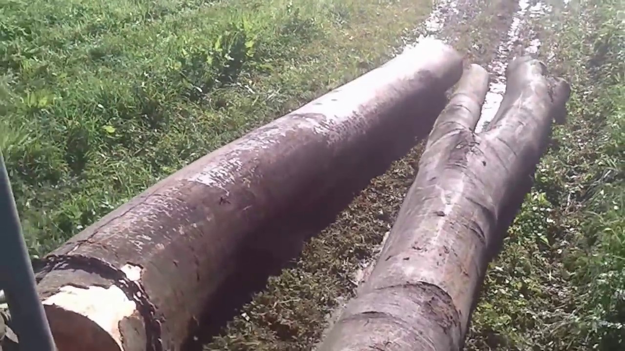 Rad u šumi sa Štoretom 404 i Krpan 5t Logging with Štore 404  Holzernte mit Štore 404 / Fiat 420 DT