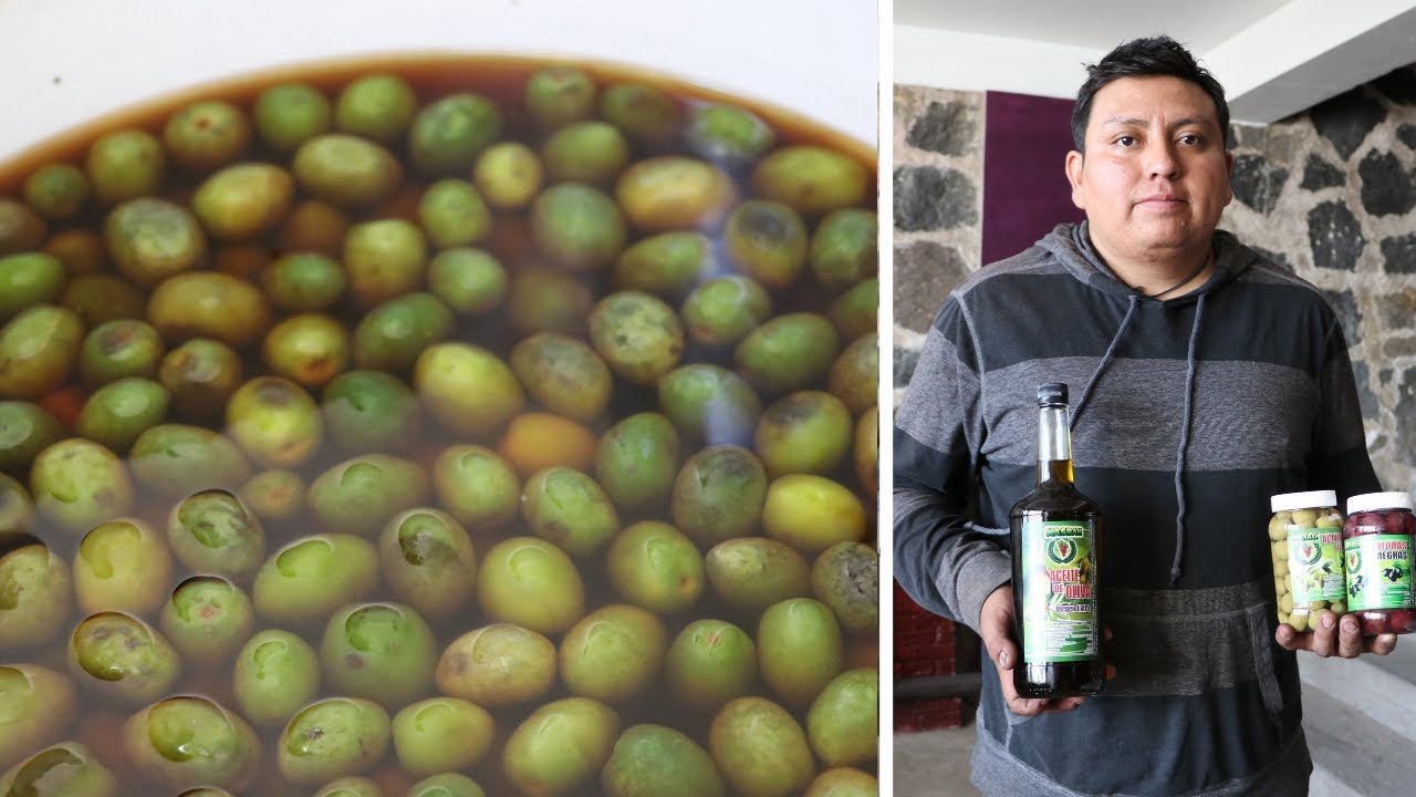 Así es como se fabrican las ACEITUNAS Y EL ACEITE DE OLIVA en CHIMALHUACAN