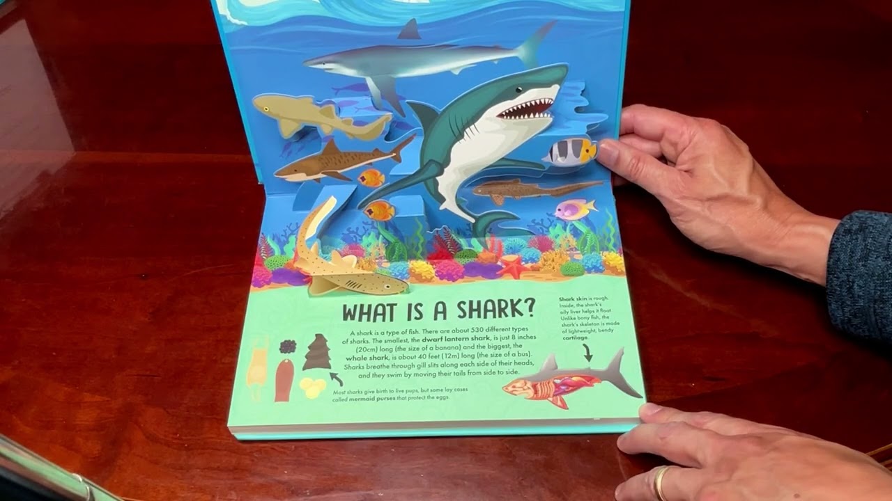 Peek Inside NATURE POP-UP! SHARKS By David Hawcock